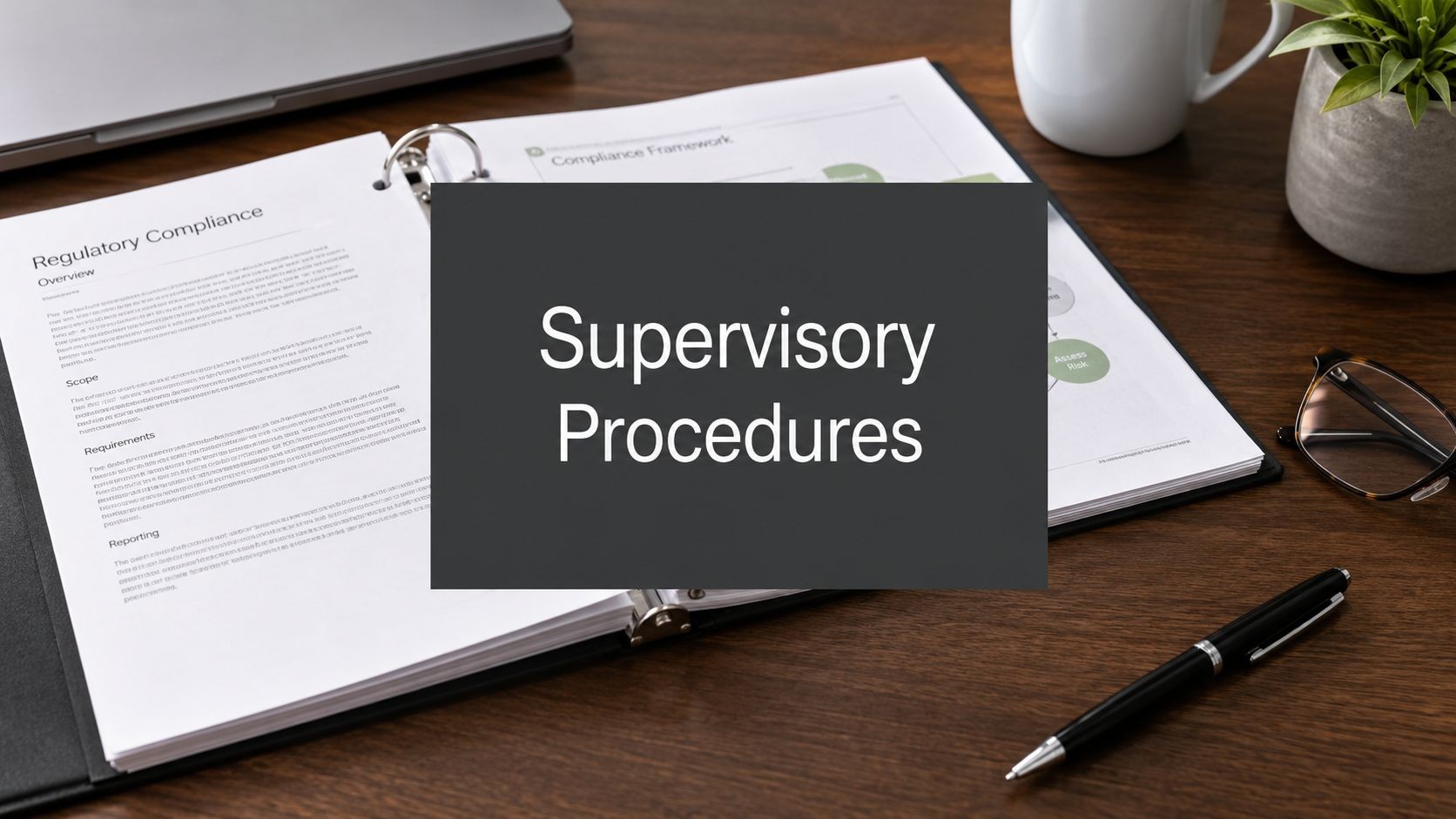 written-supervisory-procedures-definition-professional-document
